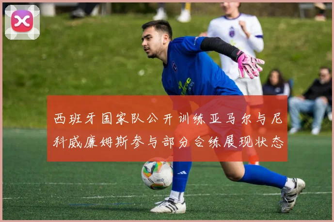西班牙国家队公开训练亚马尔与尼科威廉姆斯参与部分合练展现状态